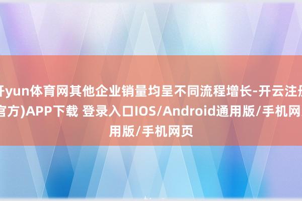 开yun体育网其他企业销量均呈不同流程增长-开云注册(官方)APP下载 登录入口IOS/Android通用版/手机网页