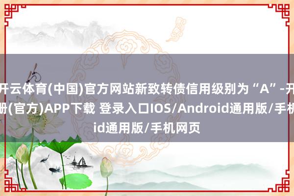 开云体育(中国)官方网站新致转债信用级别为“A”-开云注册(官方)APP下载 登录入口IOS/Android通用版/手机网页